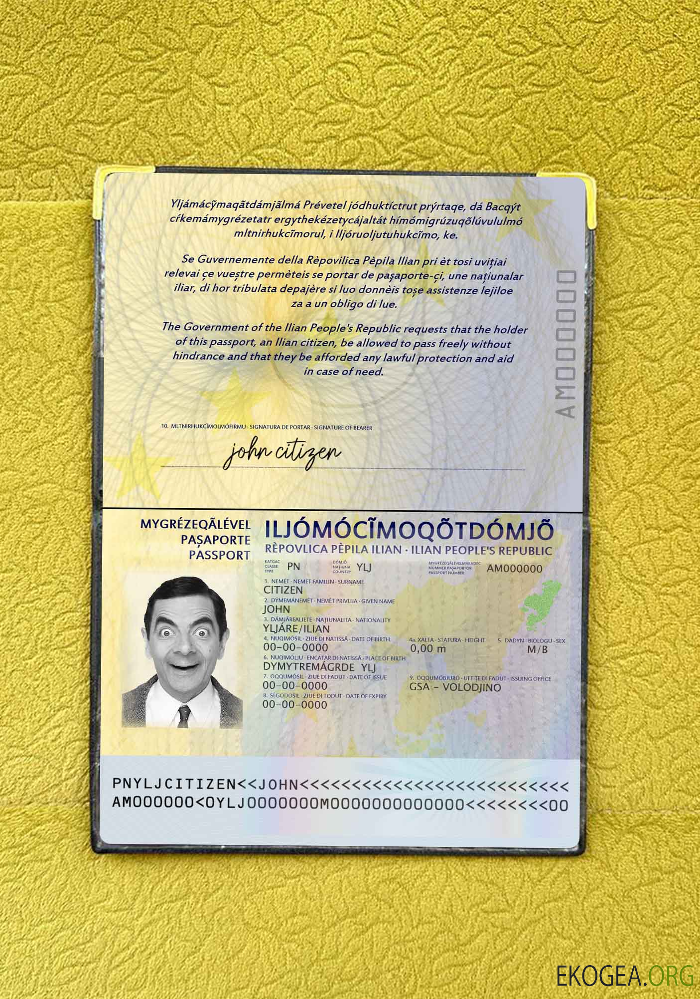 Look photo d'identité d'Ilia